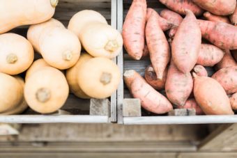 Butternut Squash & Sweet Potatoes East Lothian near Edinburgh